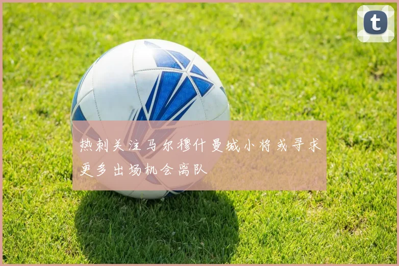 热刺关注马尔穆什曼城小将或寻求更多出场机会离队